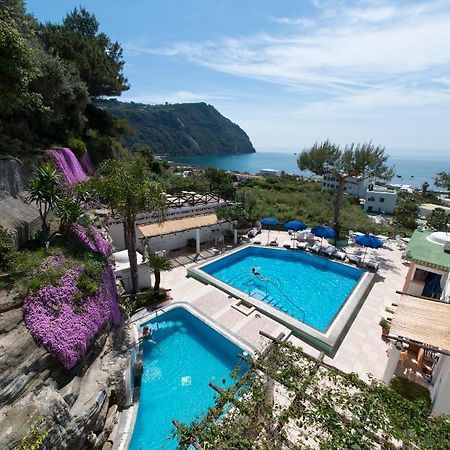 Hotel Villa Bianca Forio di Ischia Extérieur photo