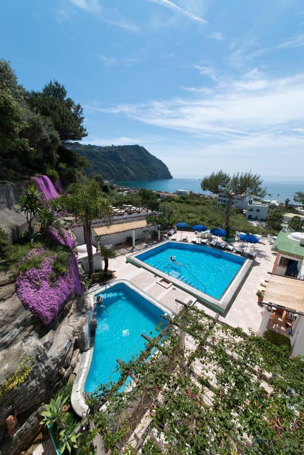 Hotel Villa Bianca Forio di Ischia Extérieur photo